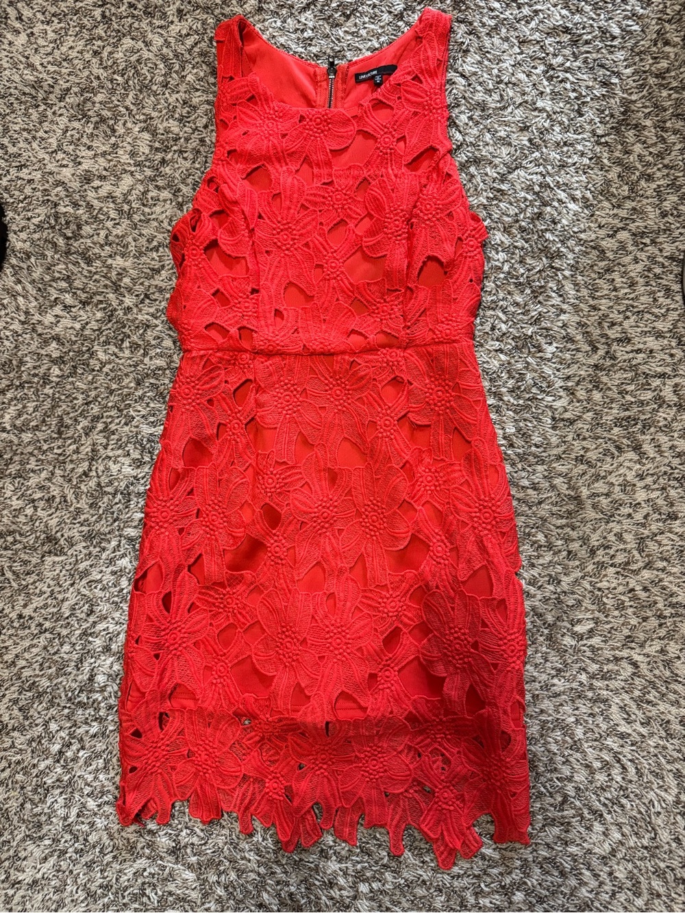 Love Culture Red Floral Lace Mini Dress